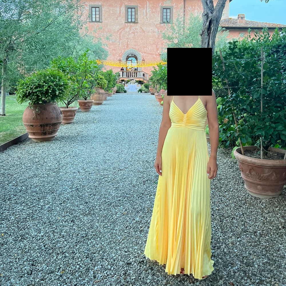 A.L.C Aries gown size 6